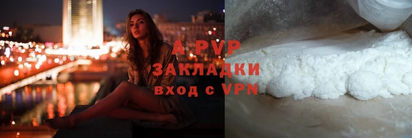 ешки Белокуриха